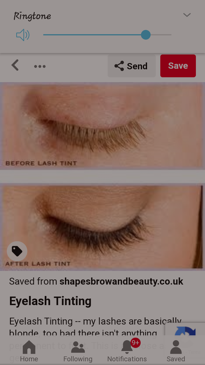 LASH TINT