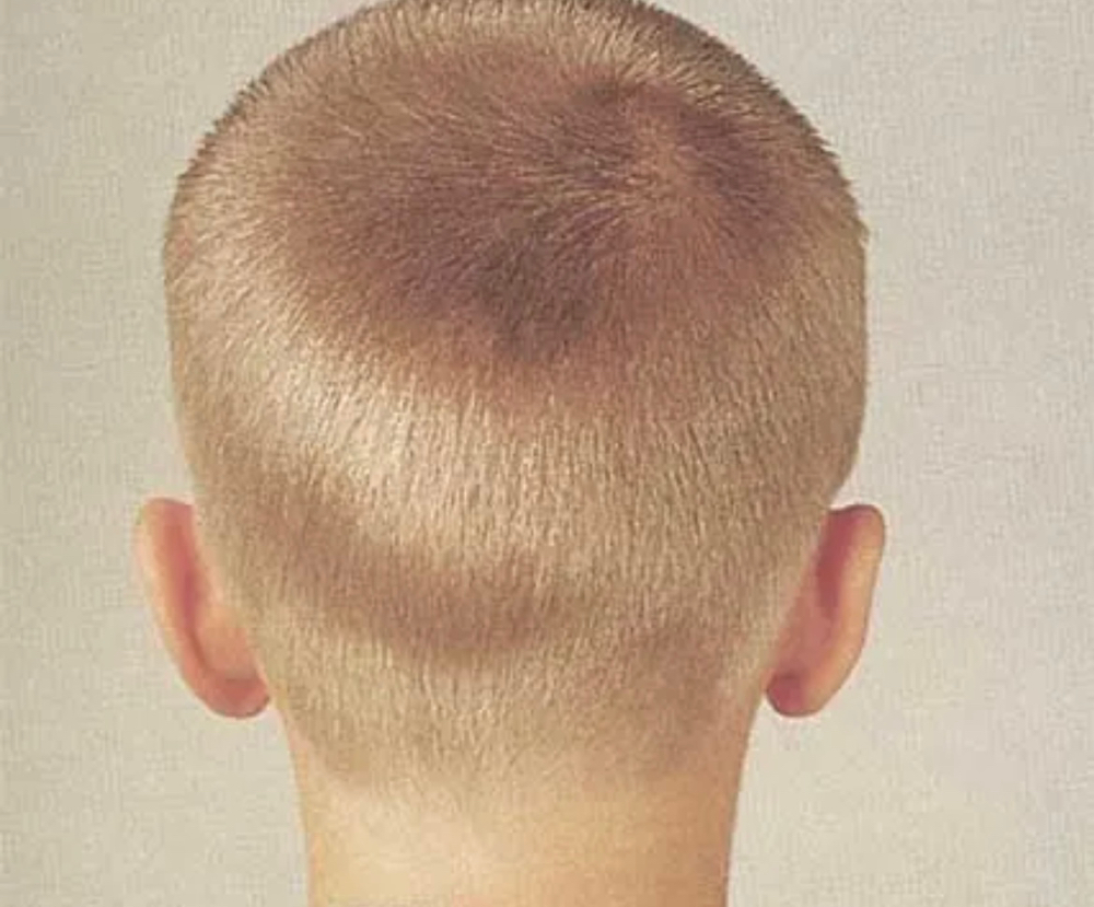 Buzz Cut ( One Length Clipper Cut)