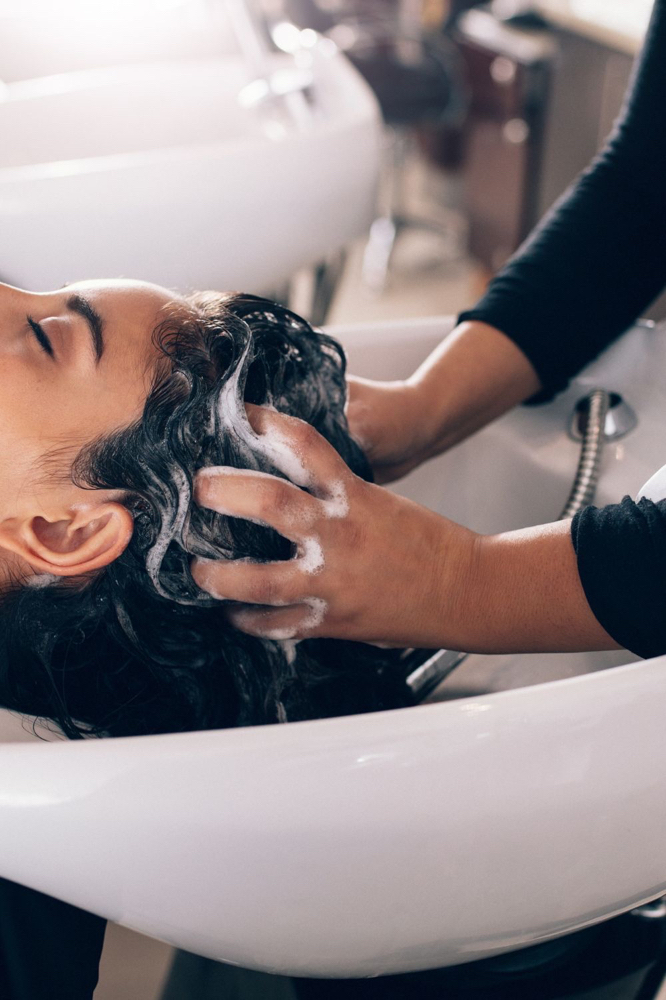 Shampoo/ Style