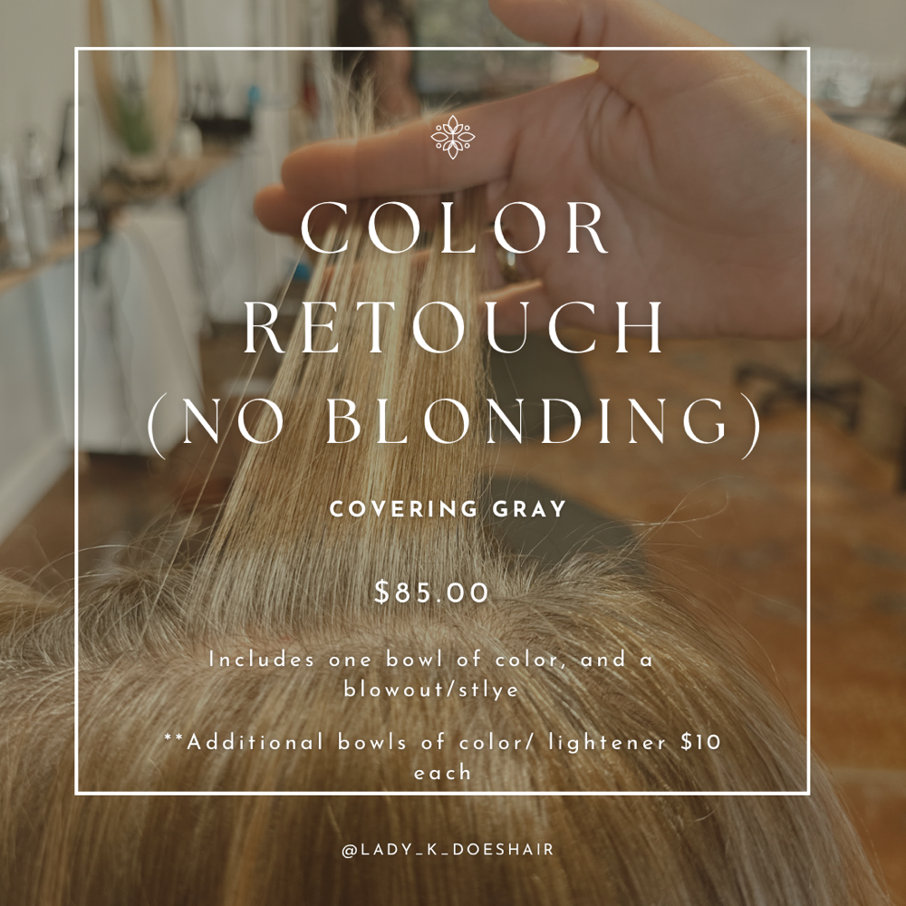 Color Retouch ( No Blonding)