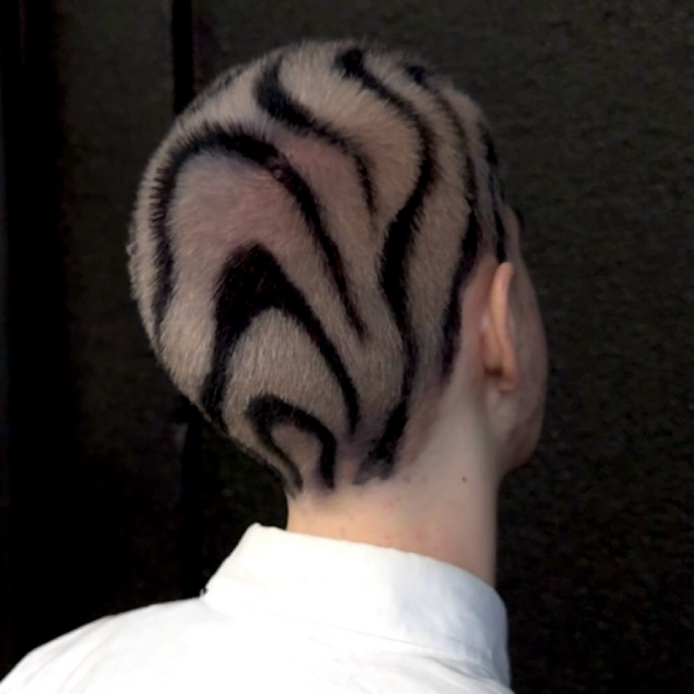 Buzzcut Design at Hair Enchanter in Portland, OR