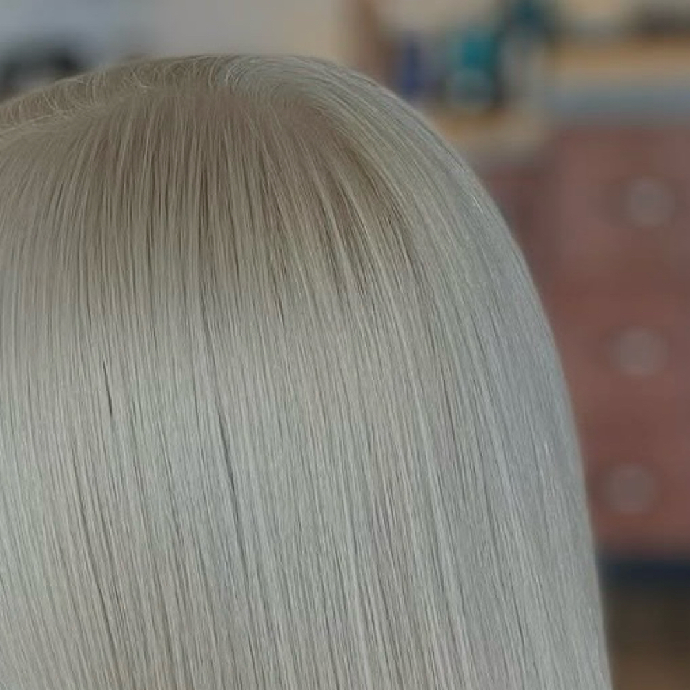 Platinum Blonde Maintenance at Salon Dahlia in Brandon, FL