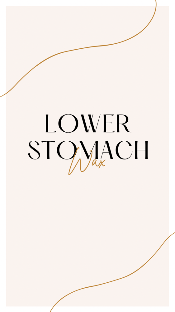 Lower Stomach