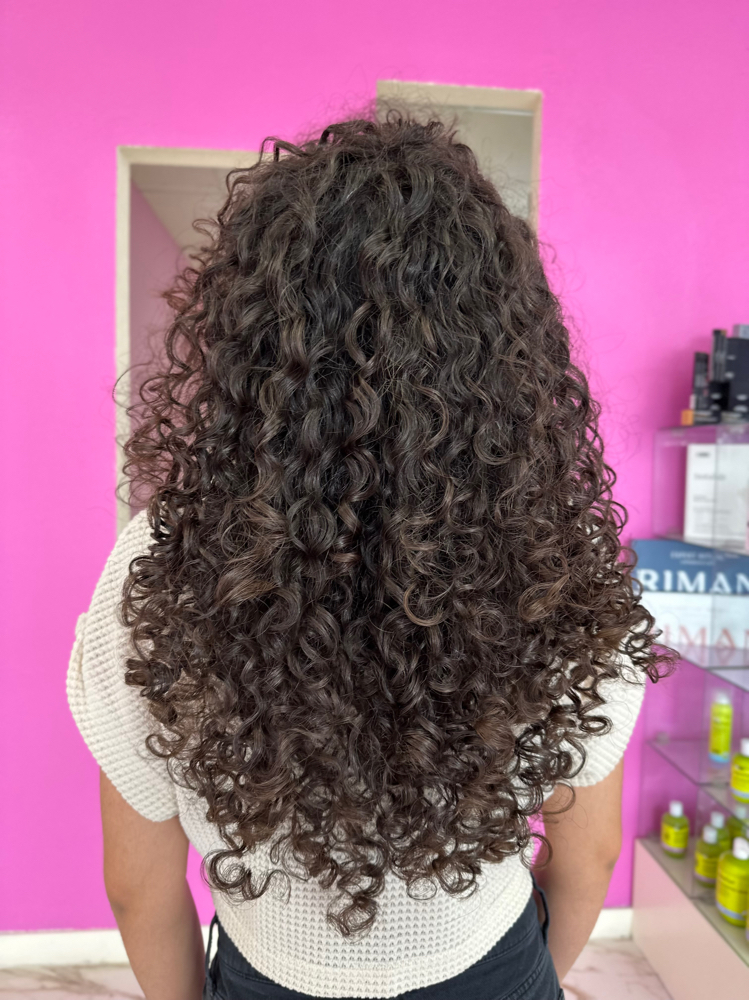 Curly Hair Updo
