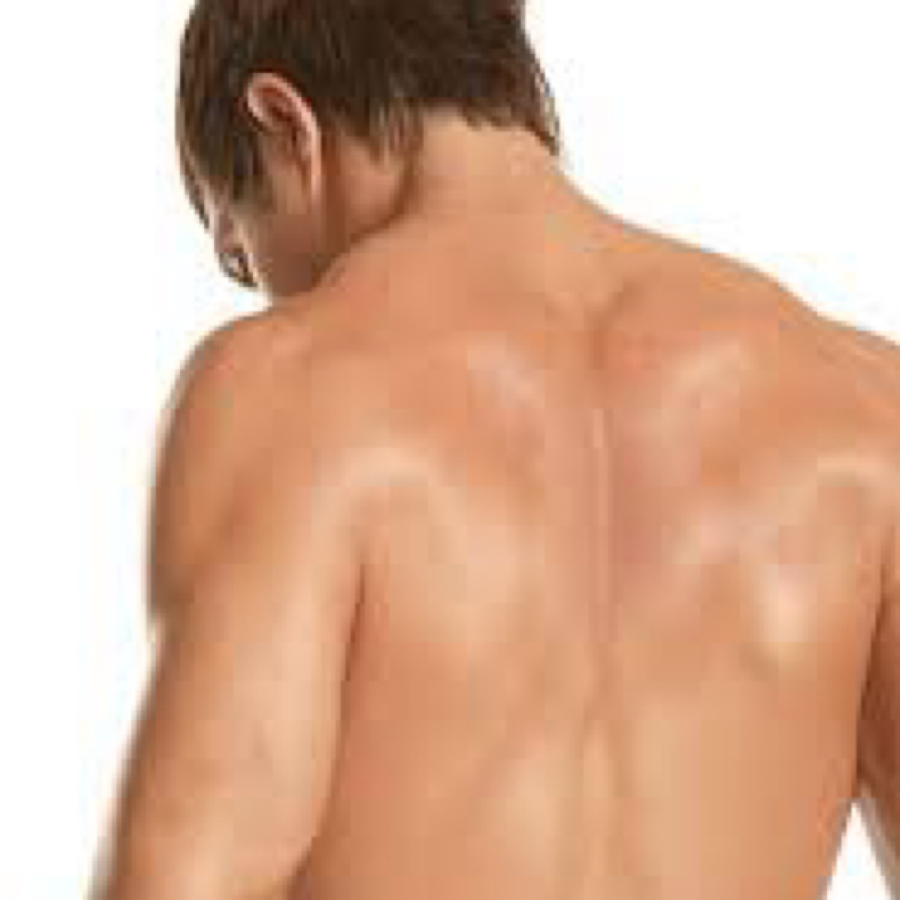 Wedowee-Full Back(Men) at Arch And Ink, LLC in Newnan Wedowee, GA