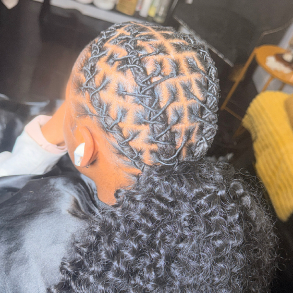 Starter Retwists at Lifestyle Locs in Trotwood, OH