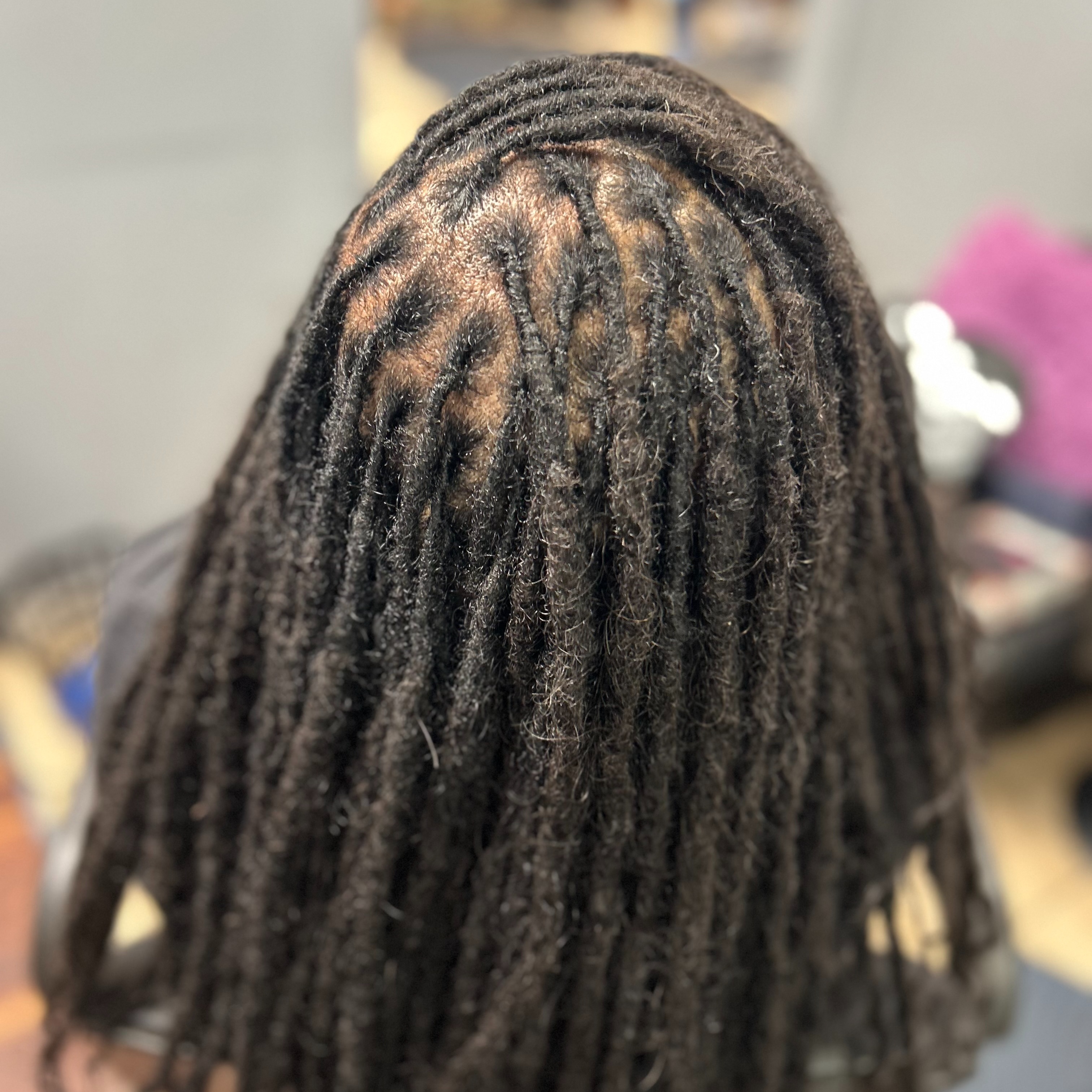 Premium Membership (Loc & Braid) at Vee’s Loc And Braid Studio in Tampa, FL