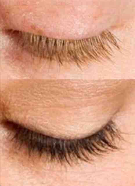 Lash Tint