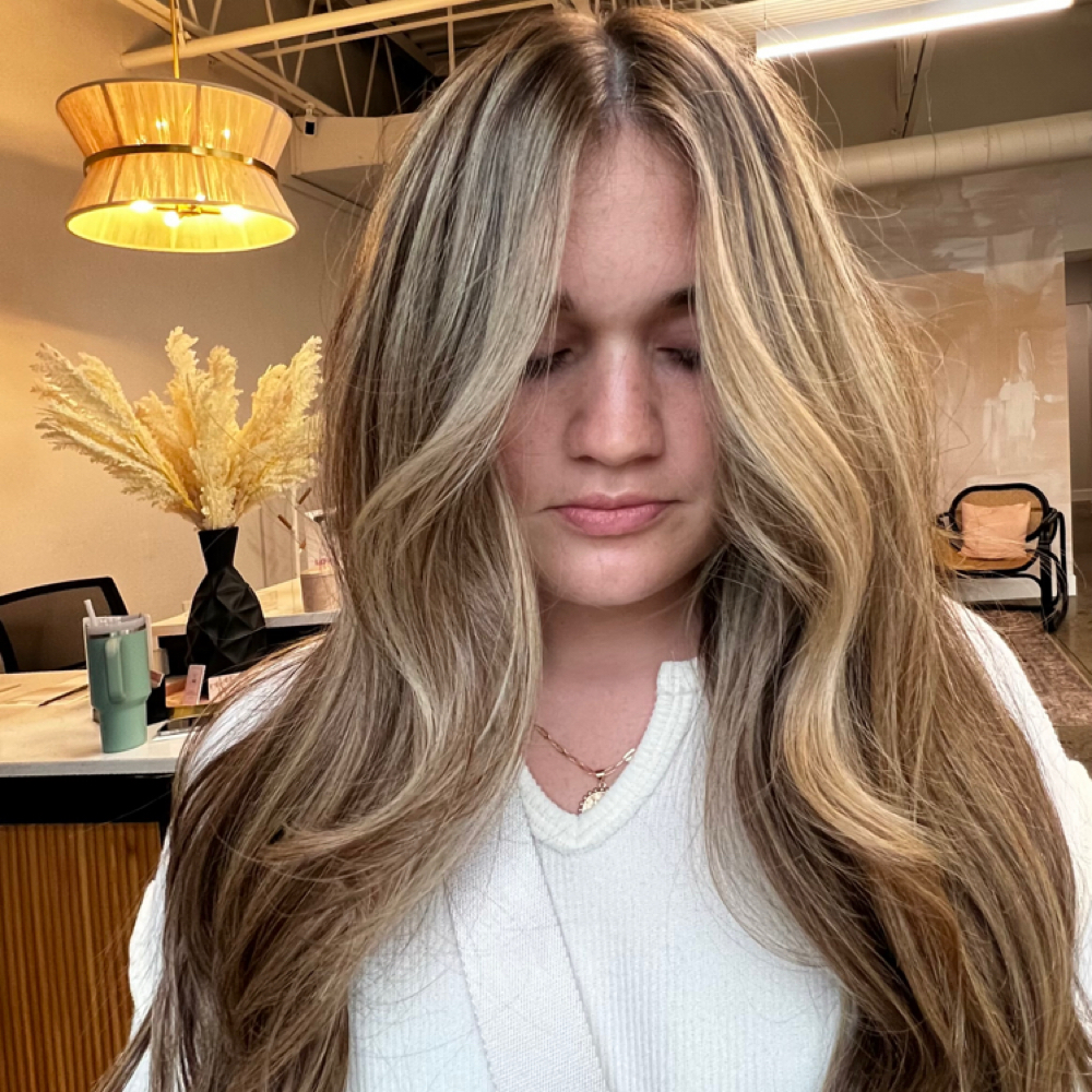 Highlights + Lowlights + Haircut at .A. Blooming Beauty in Albany, NY