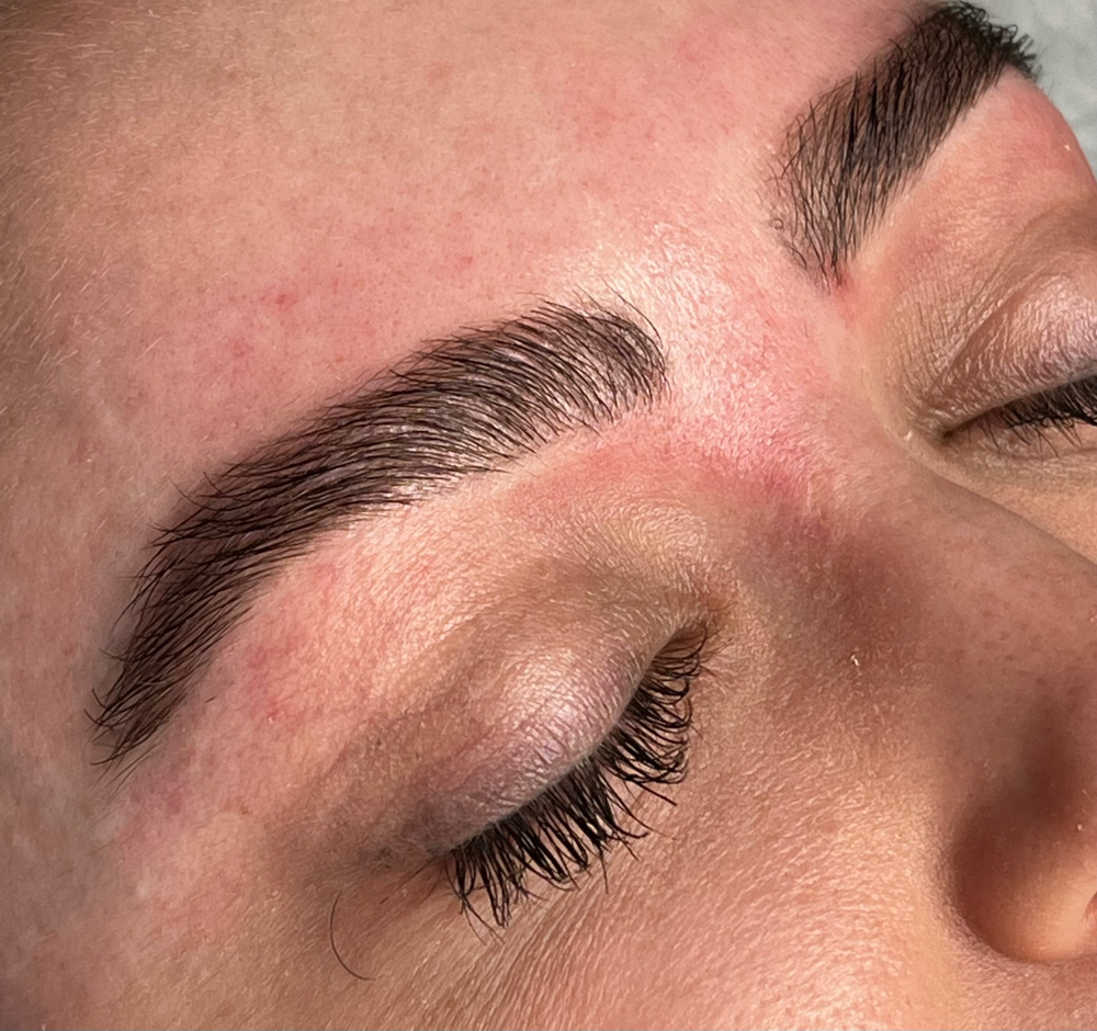 Brow Wax and Tint