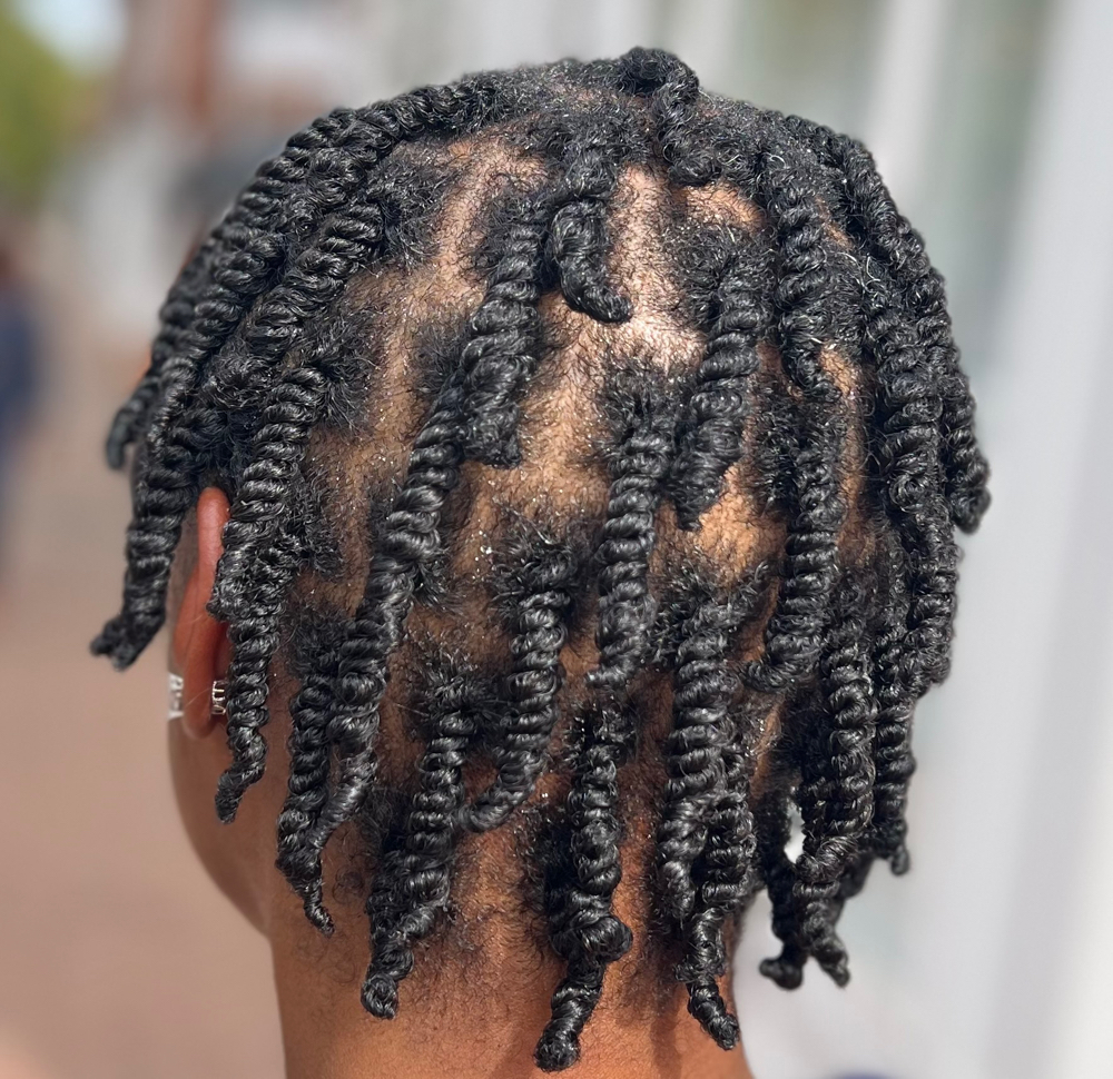 Two Strand Twist at The Velvet Crown in Falls Church, VA