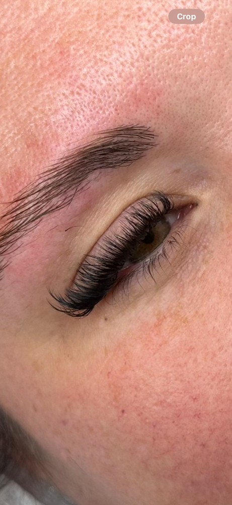 Hybrid X Volume Eyelash Extensions