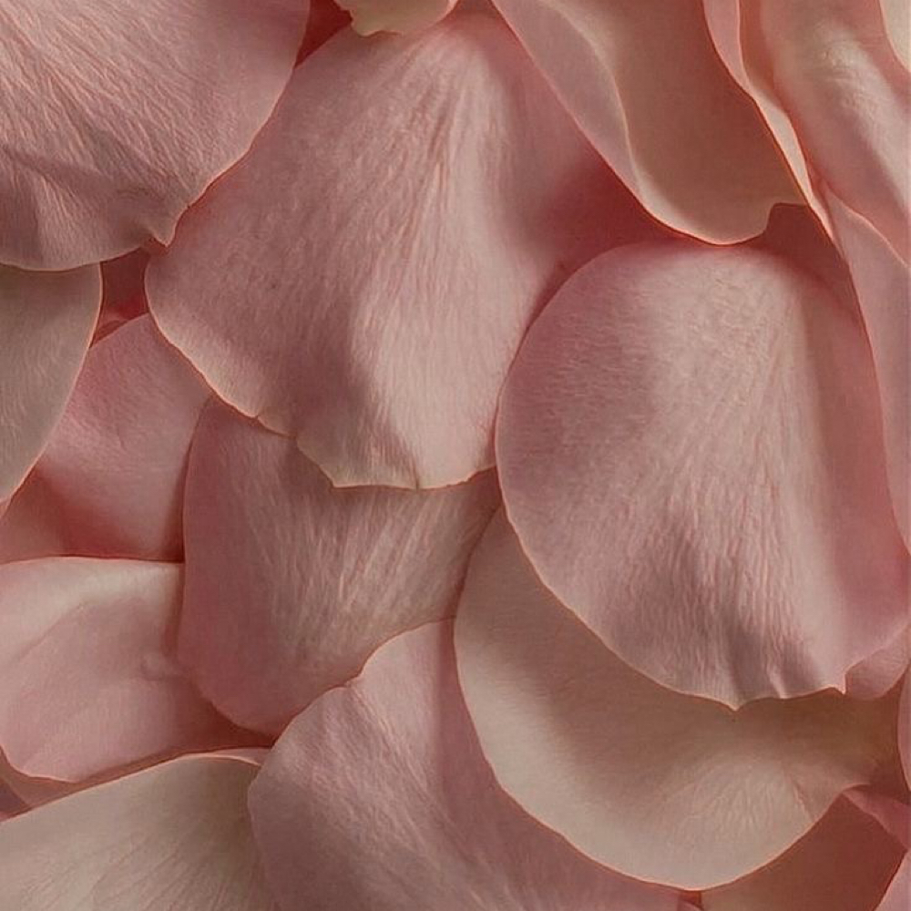 Blooming Glow Facial at Psalms Aesthetics in Louisburg, KS