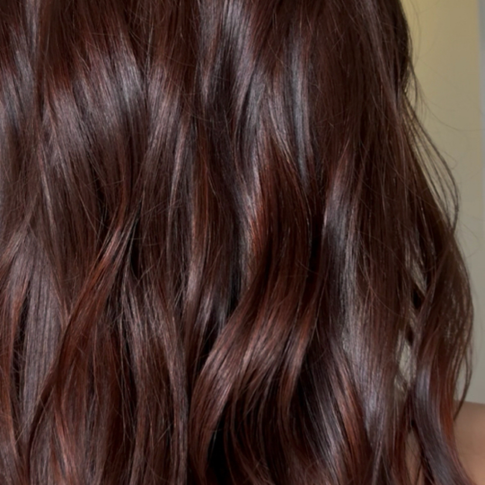 Gloss at Opal Light Hair Studio in Jacksonville, FL