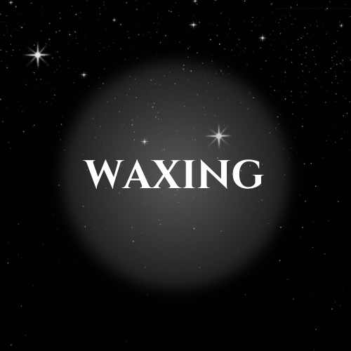 Butt Strip Wax