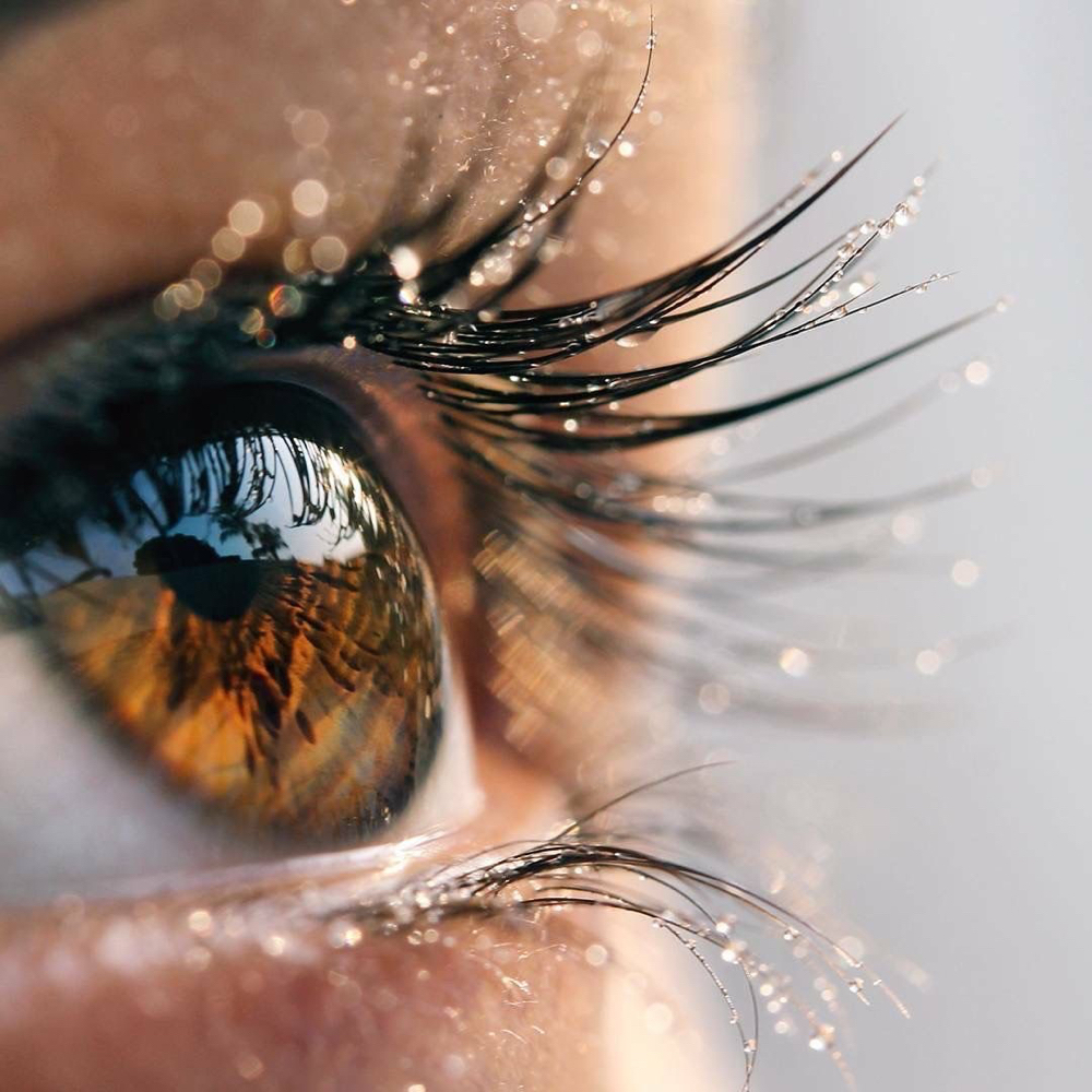 Lash Lift & Tint
