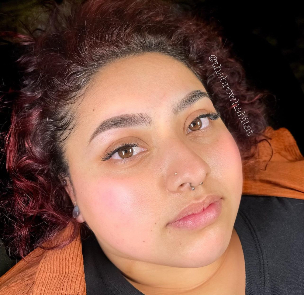 Brow Revisit - Microshading