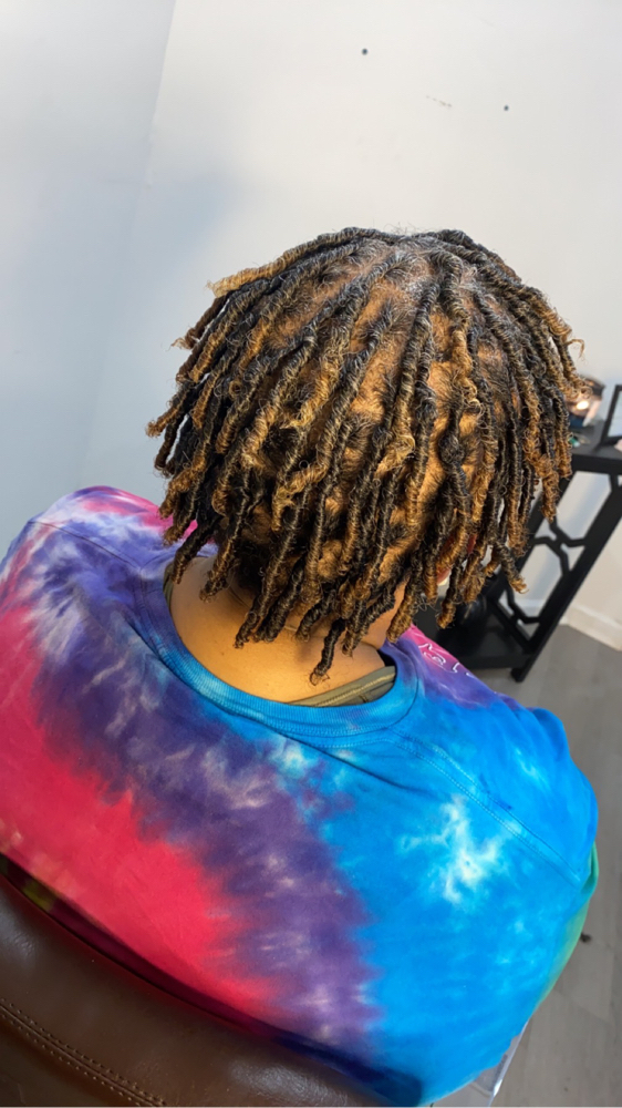 Starter Locs