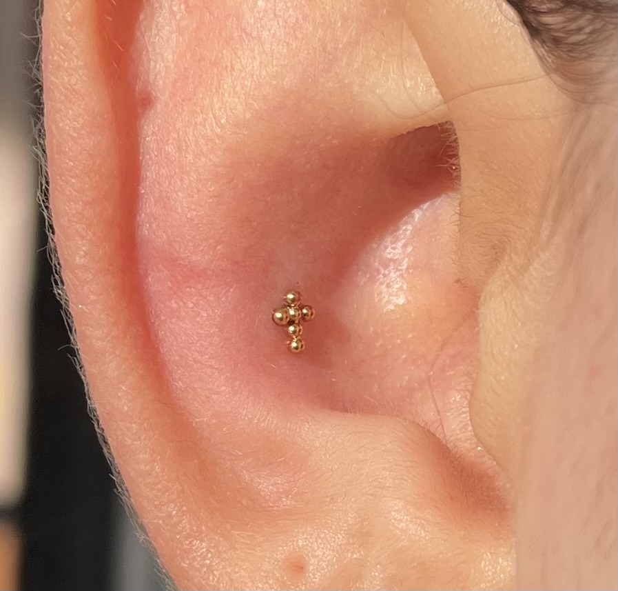 Conch Piercing