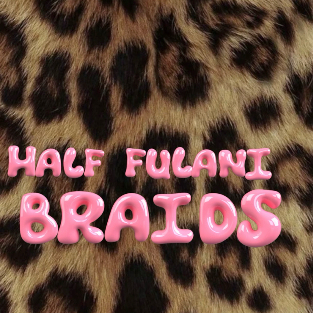 Half Fulani Braids at BraidsByJay in Chillicothe, OH