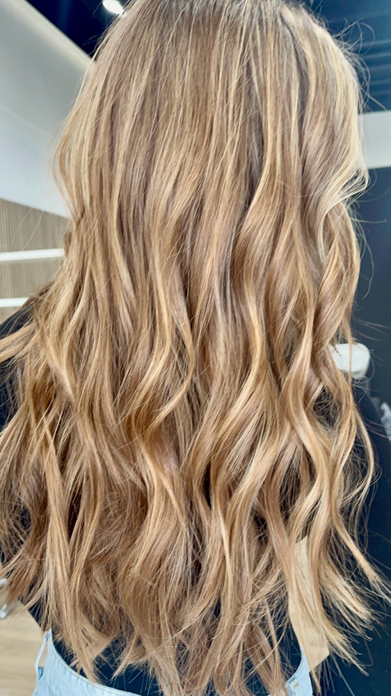 Partial Balayage & Blowdry