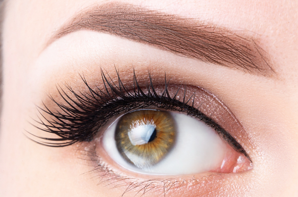 Ombre Brow 4-6 Weeks Touch-up