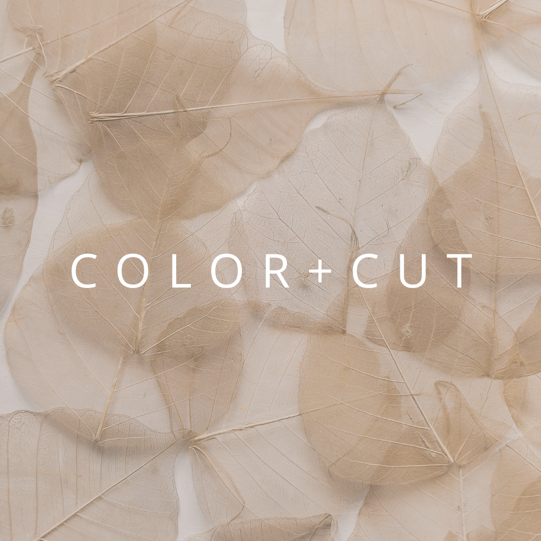 Color + Haircut