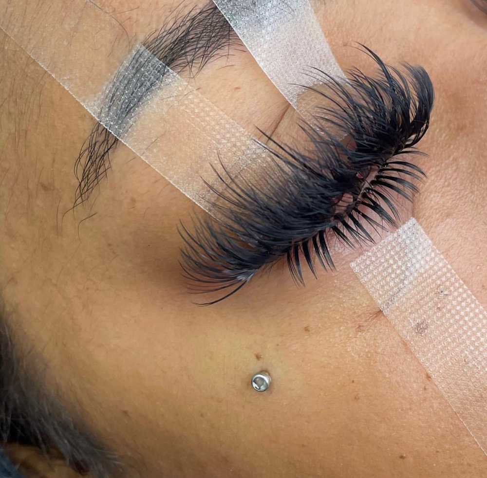 Bottom Lashes