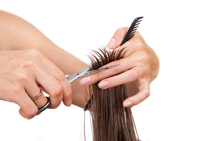 Existing Guest Haircut