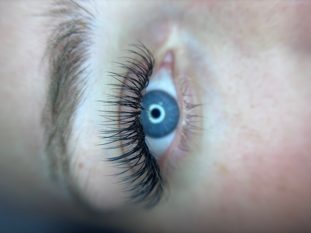 Classic Lash