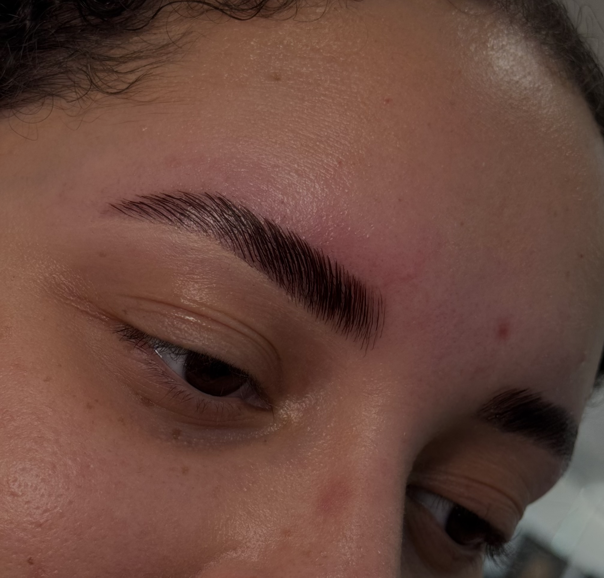 Brow Lamination and Tint