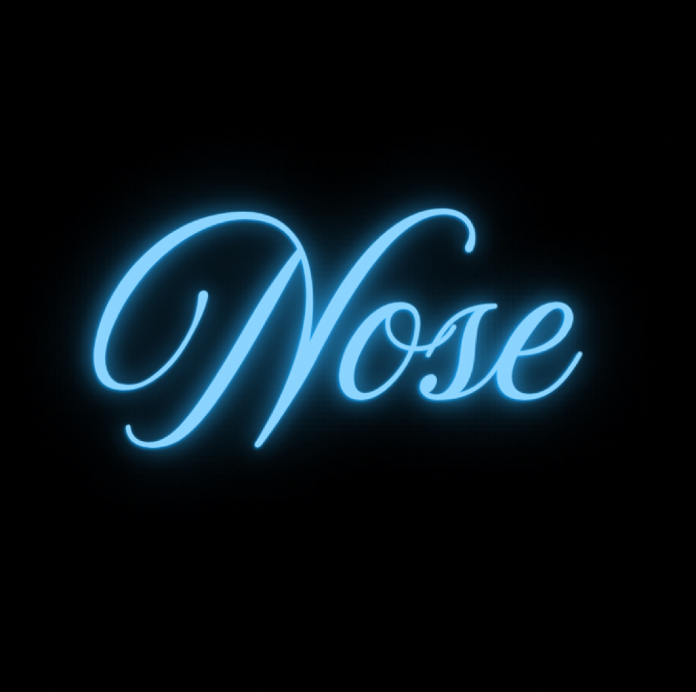 Nose