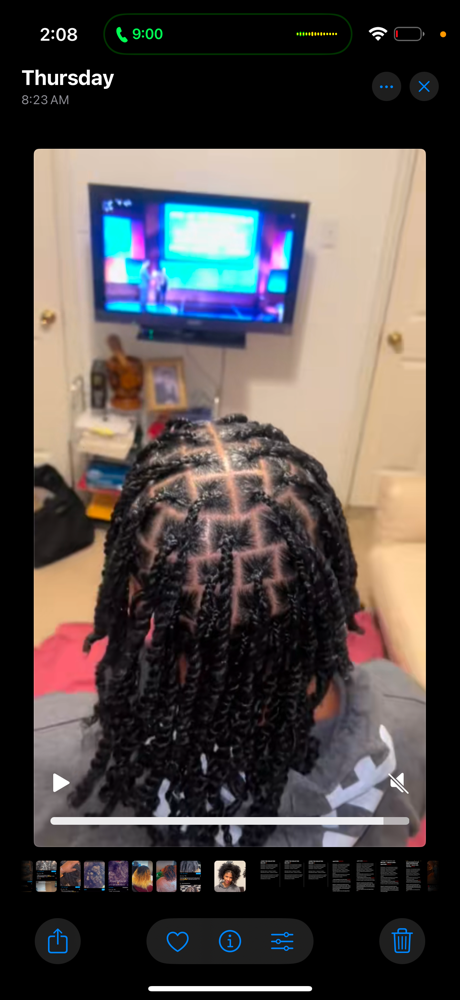 Two Strand Twist