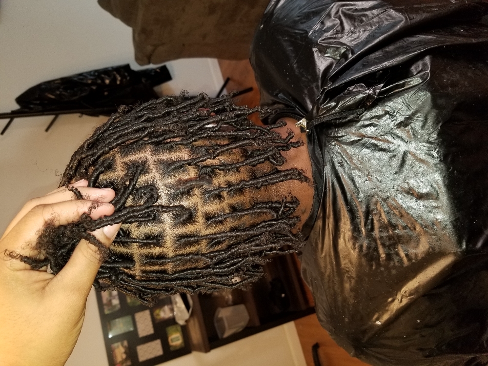 Starter Locs