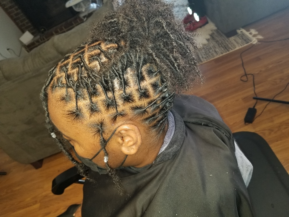 Starter Retwists