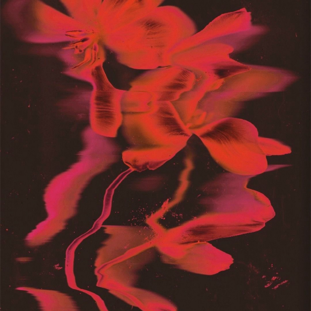 THE SPRING RENEWAL RITUAL at Talia Rose Aesthetics ♡ in Denver, CO