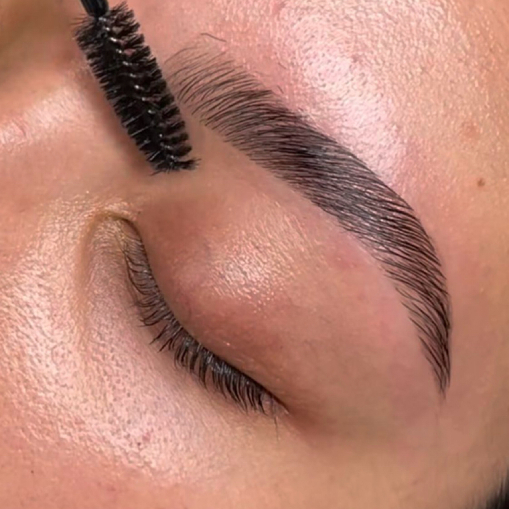 brow lamination + tint + wax at Wisp Salon and Spa in Hattiesburg, MS