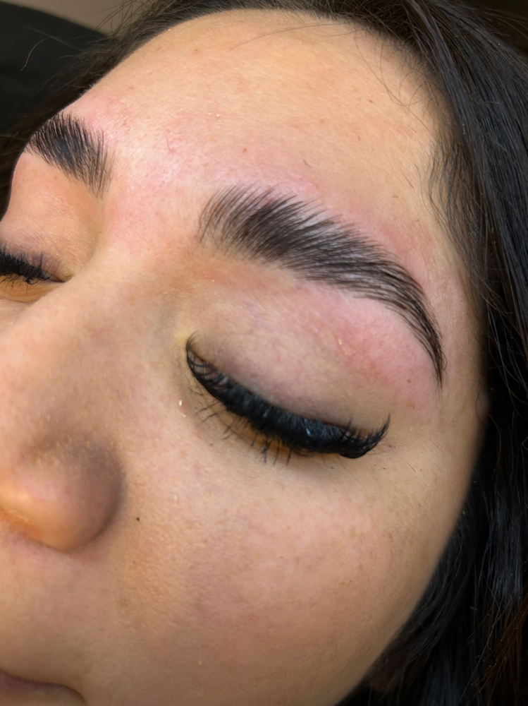 Brow Lami+ Wax + Tint