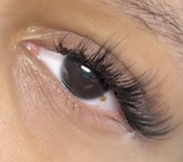 Lash Hybrid