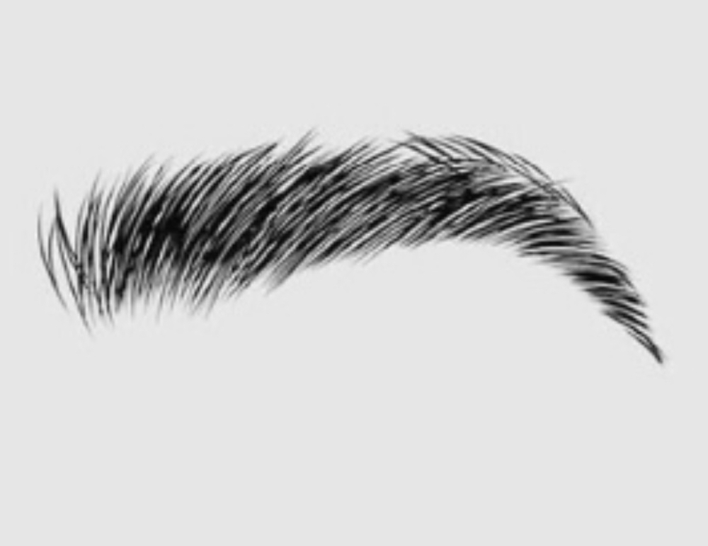 Brow Tint