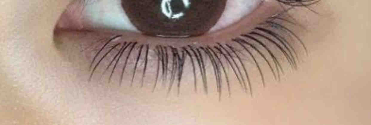 Bottom Lashes
