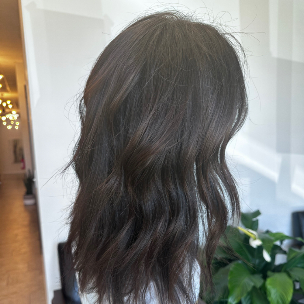 Root Touch Up at Sydney Merz in Wichita, KS