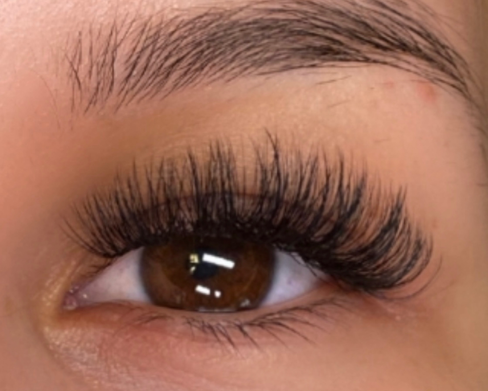 Volume Lash Fill