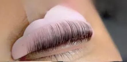 Lash Lift at Studio 981 in Richmond, VA