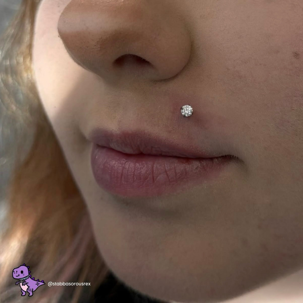 Monroe at Vita Aurelia Piercings in Temecula, CA
