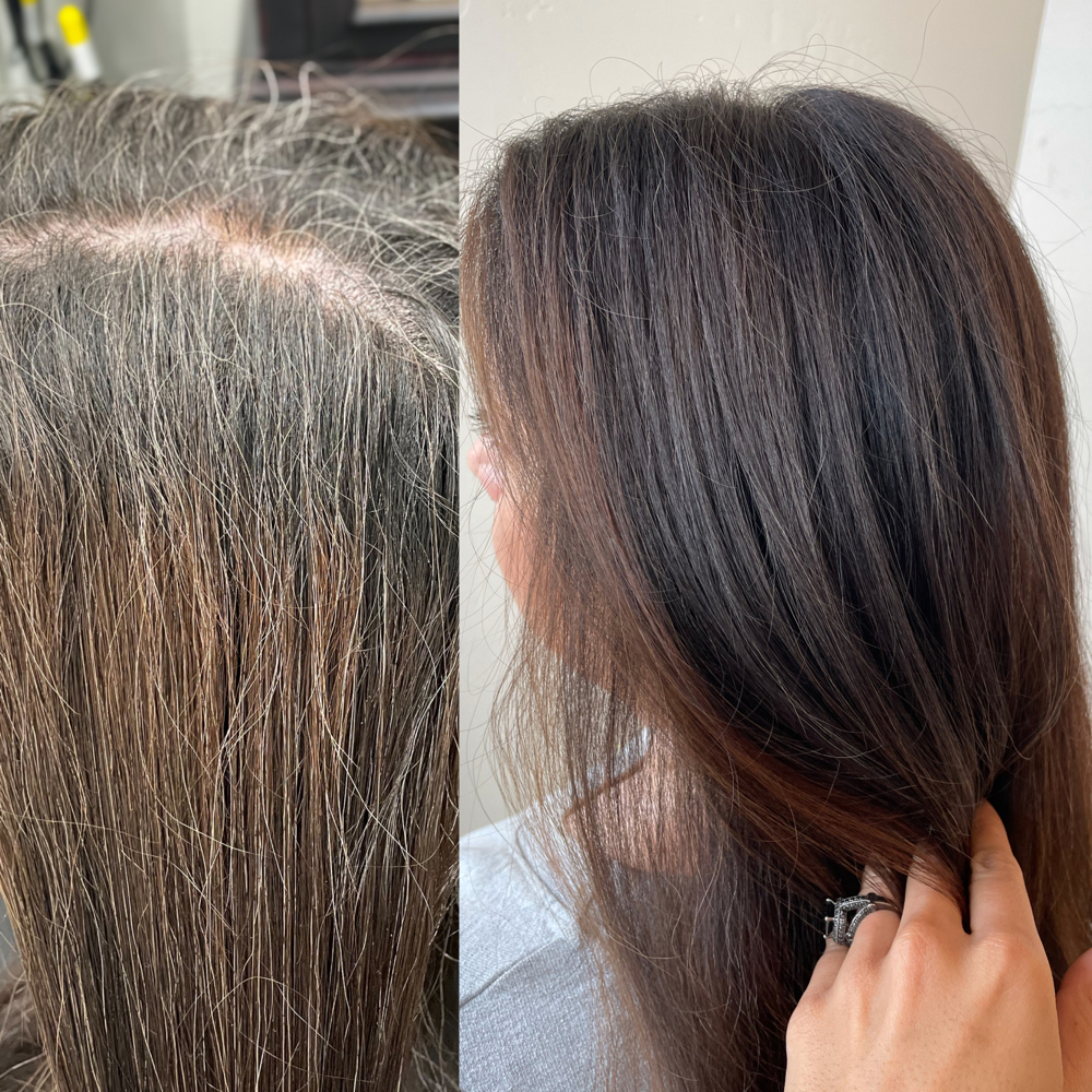 Root Touch Up Grey (no lightening)