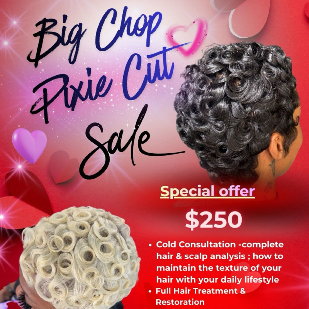 Big Chop / Pixie Cut Sale at August Snow Hair in Atlanta, GA