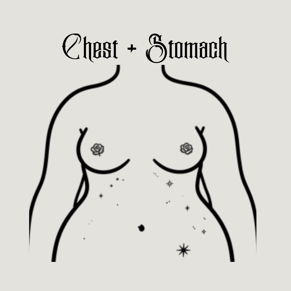 Chest + Stomach at All Bodies in Santa Ana, CA