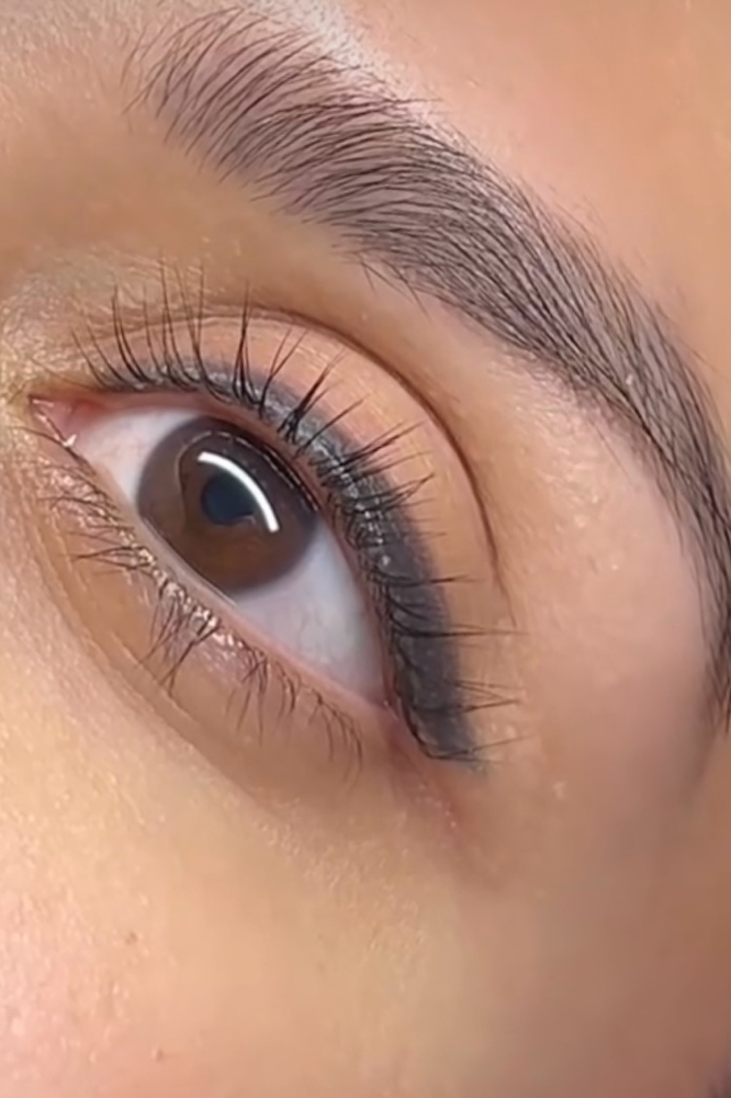 Lash Lift & tint