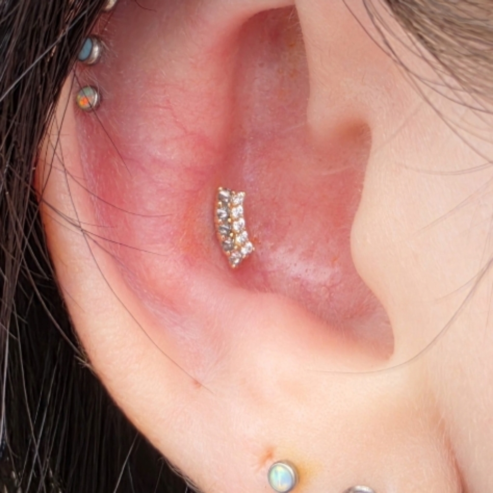 Conch at The Skin Lounge in MARQUETTE, MI